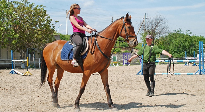 Обучение верховой езде в Костроме. Сервис Ultra Подарки. Купить обучение верховой езде в Костроме. Вы сможете попробовать курс по верховой езде и конные прогулки. Сервис UltraPodarki.ru 8 800 505 95 30. Обучение верховой езде, верховая езда в Костроме, верховая езда Кострома, конный спорт, уроки верховой езды, школа верховой езды, конные прогулки, верховая езда, школа верховой езды в Костроме, конные прогулки в Костроме, обучение верховой езде в Костроме, конный спорт в Костроме, уроки верховой езды в Костроме