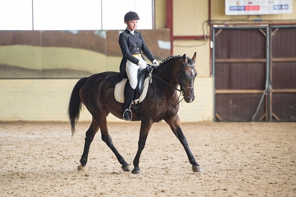 Обучение верховой езде в Костроме. Сервис Ultra Подарки. Купить обучение верховой езде в Костроме. Вы сможете попробовать курс по верховой езде и конные прогулки. Сервис UltraPodarki.ru 8 800 505 95 30. Обучение верховой езде, верховая езда в Костроме, верховая езда Кострома, конный спорт, уроки верховой езды, школа верховой езды, конные прогулки, верховая езда, школа верховой езды в Костроме, конные прогулки в Костроме, обучение верховой езде в Костроме, конный спорт в Костроме, уроки верховой езды в Костроме