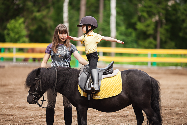 Обучение верховой езде в Костроме. Сервис Ultra Подарки. Купить обучение верховой езде в Костроме. Вы сможете попробовать курс по верховой езде и конные прогулки. Сервис UltraPodarki.ru 8 800 505 95 30. Обучение верховой езде, верховая езда в Костроме, верховая езда Кострома, конный спорт, уроки верховой езды, школа верховой езды, конные прогулки, верховая езда, школа верховой езды в Костроме, конные прогулки в Костроме, обучение верховой езде в Костроме, конный спорт в Костроме, уроки верховой езды в Костроме