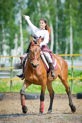 Обучение верховой езде в Костроме. Сервис Ultra Подарки. Купить обучение верховой езде в Костроме. Вы сможете попробовать курс по верховой езде и конные прогулки. Сервис UltraPodarki.ru 8 800 505 95 30. Обучение верховой езде, верховая езда в Костроме, верховая езда Кострома, конный спорт, уроки верховой езды, школа верховой езды, конные прогулки, верховая езда, школа верховой езды в Костроме, конные прогулки в Костроме, обучение верховой езде в Костроме, конный спорт в Костроме, уроки верховой езды в Костроме