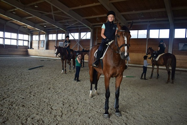 Обучение верховой езде в Костроме. Сервис Ultra Подарки. Купить обучение верховой езде в Костроме. Вы сможете попробовать курс по верховой езде и конные прогулки. Сервис UltraPodarki.ru 8 800 505 95 30. Обучение верховой езде, верховая езда в Костроме, верховая езда Кострома, конный спорт, уроки верховой езды, школа верховой езды, конные прогулки, верховая езда, школа верховой езды в Костроме, конные прогулки в Костроме, обучение верховой езде в Костроме, конный спорт в Костроме, уроки верховой езды в Костроме