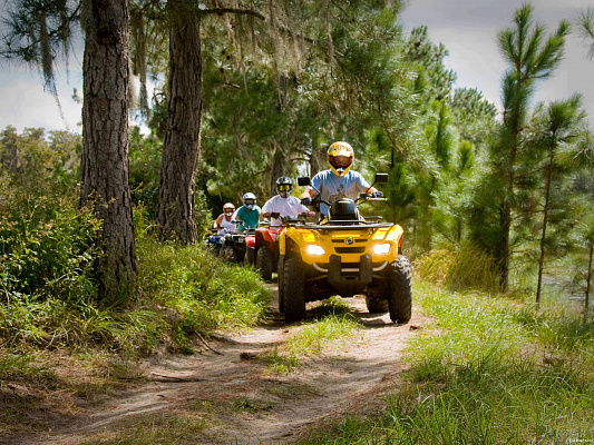 Хочу себе в подарок! UltraPodarki - Сертификат в подарок на Катание на квадроциклах. . 